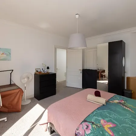 Apartamento Irene's Palace *