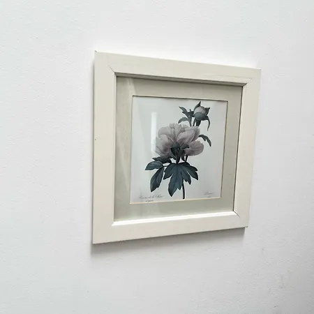 Flora's Palace - Scheveningen Haag